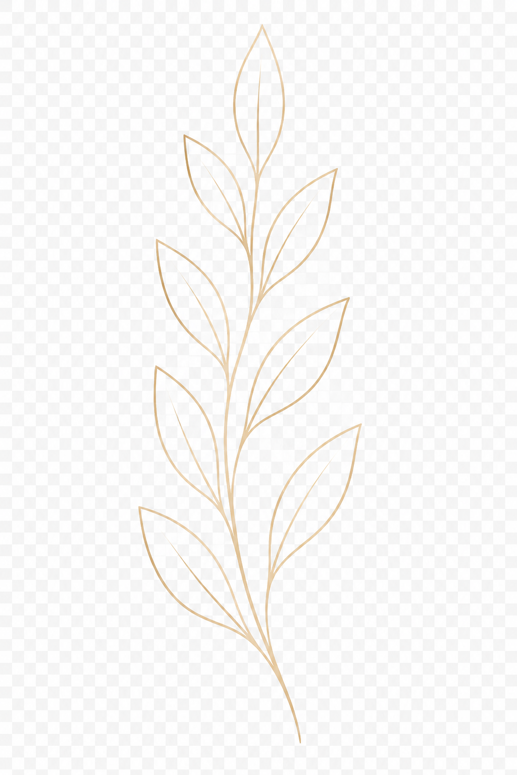 Laurel