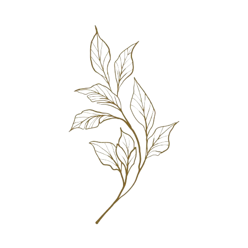Leaf Design
